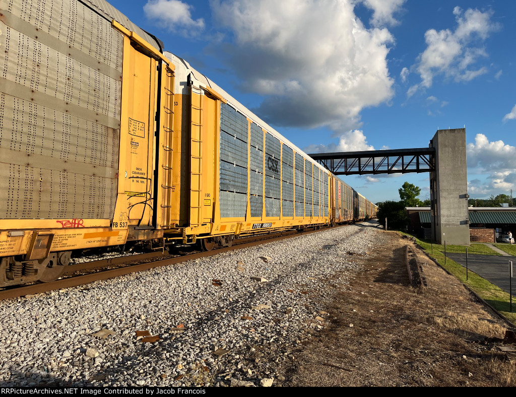 TTGX 988053